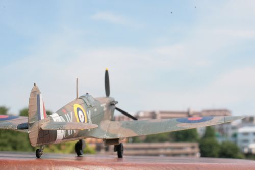 20120523_0706.jpg