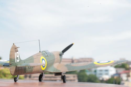20120523_0724.jpg
