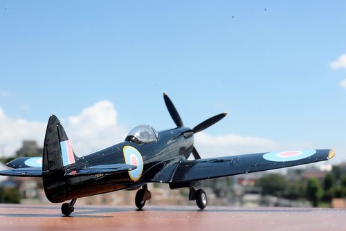 201208052_0005.jpg