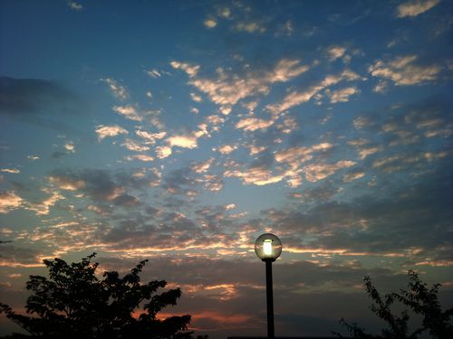 20120926_173206.jpg