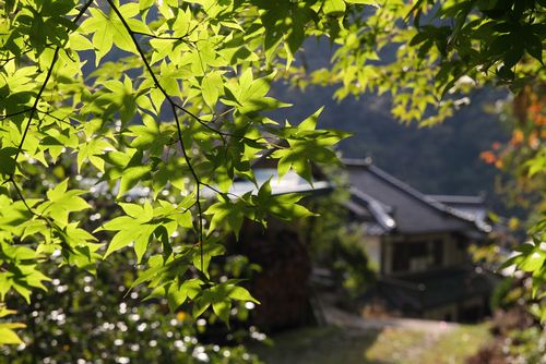 20121110_0046.jpg