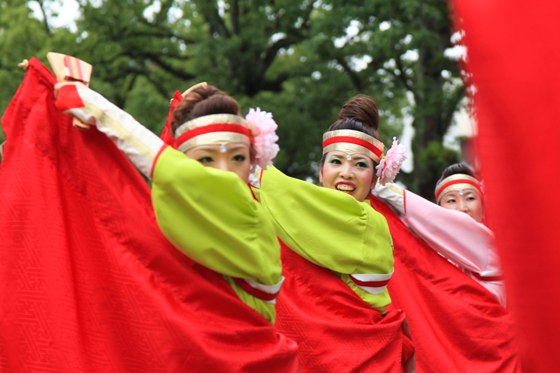 高知よさこい