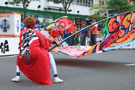 高知よさこい