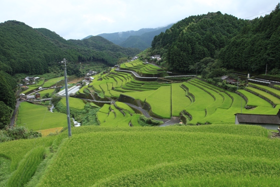 貝の川棚田