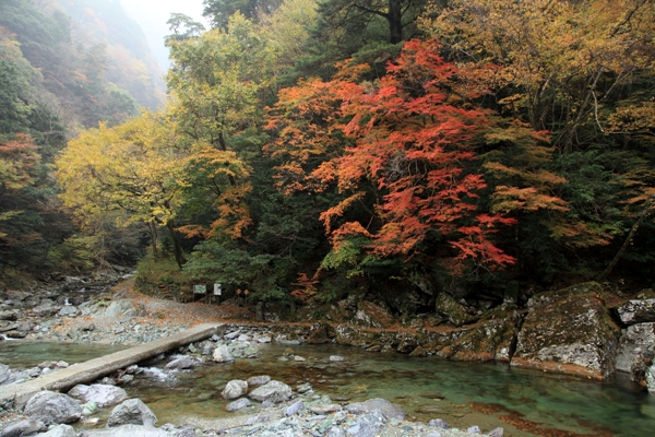 安居渓谷の紅葉 撮り歩き なんよ