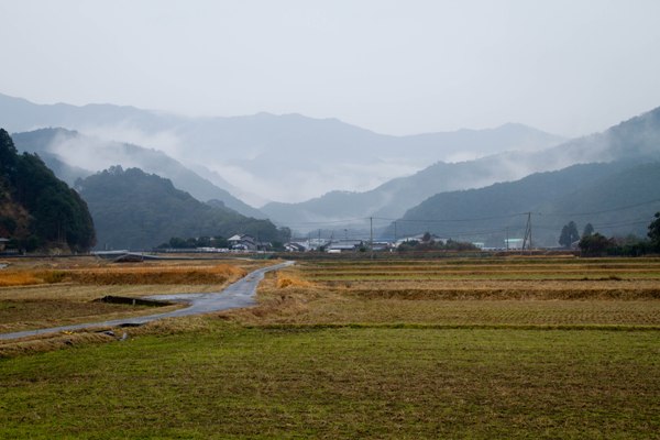 清満