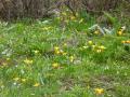 120506-1.jpg