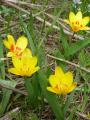 120506-2.jpg