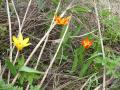 120506-3.jpg