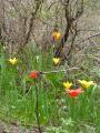 120506-4.jpg