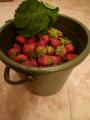120522-3.jpg