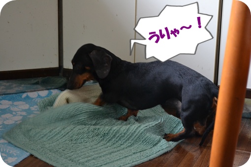 ゼッさん20