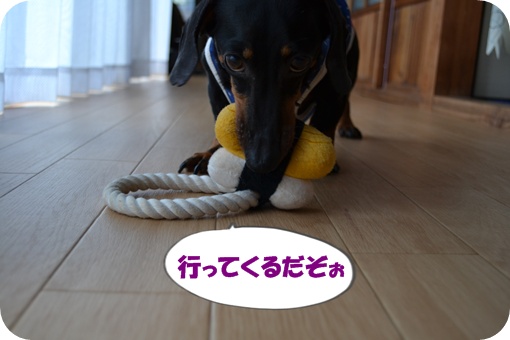 ゼッさん28