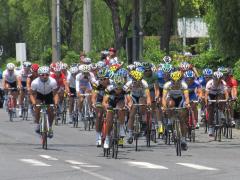 1IMG_8463.jpg