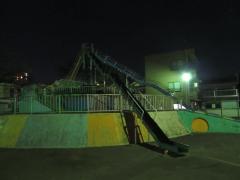 1IMG_9507.jpg
