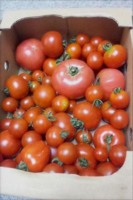 20120814171149-66.jpg