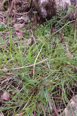 R0036026_convert_20130328133354.jpg