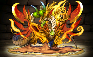 Pet444.png