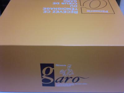 旭区中宮 手作りケーキ工房ガロGARO 千林商店街グルメブログ-1