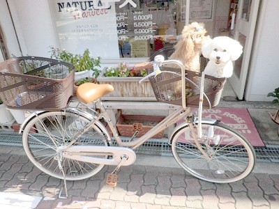 犬用自転車