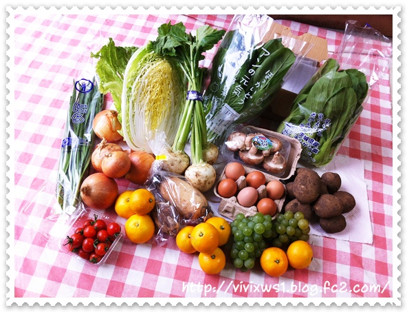 宅配野菜 らでぃっしゅぼーやの有機野菜 果物