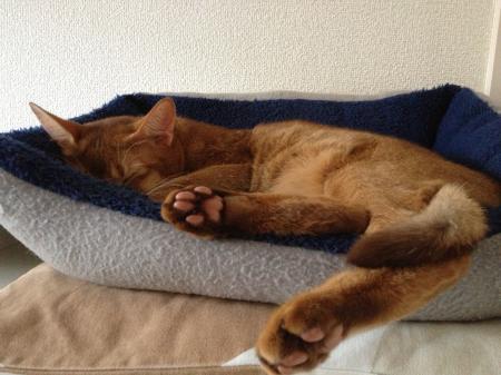 IMG_2336_convert_20121008132825.jpg