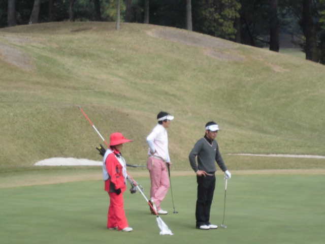 CIMG1591_20121110113629.jpg