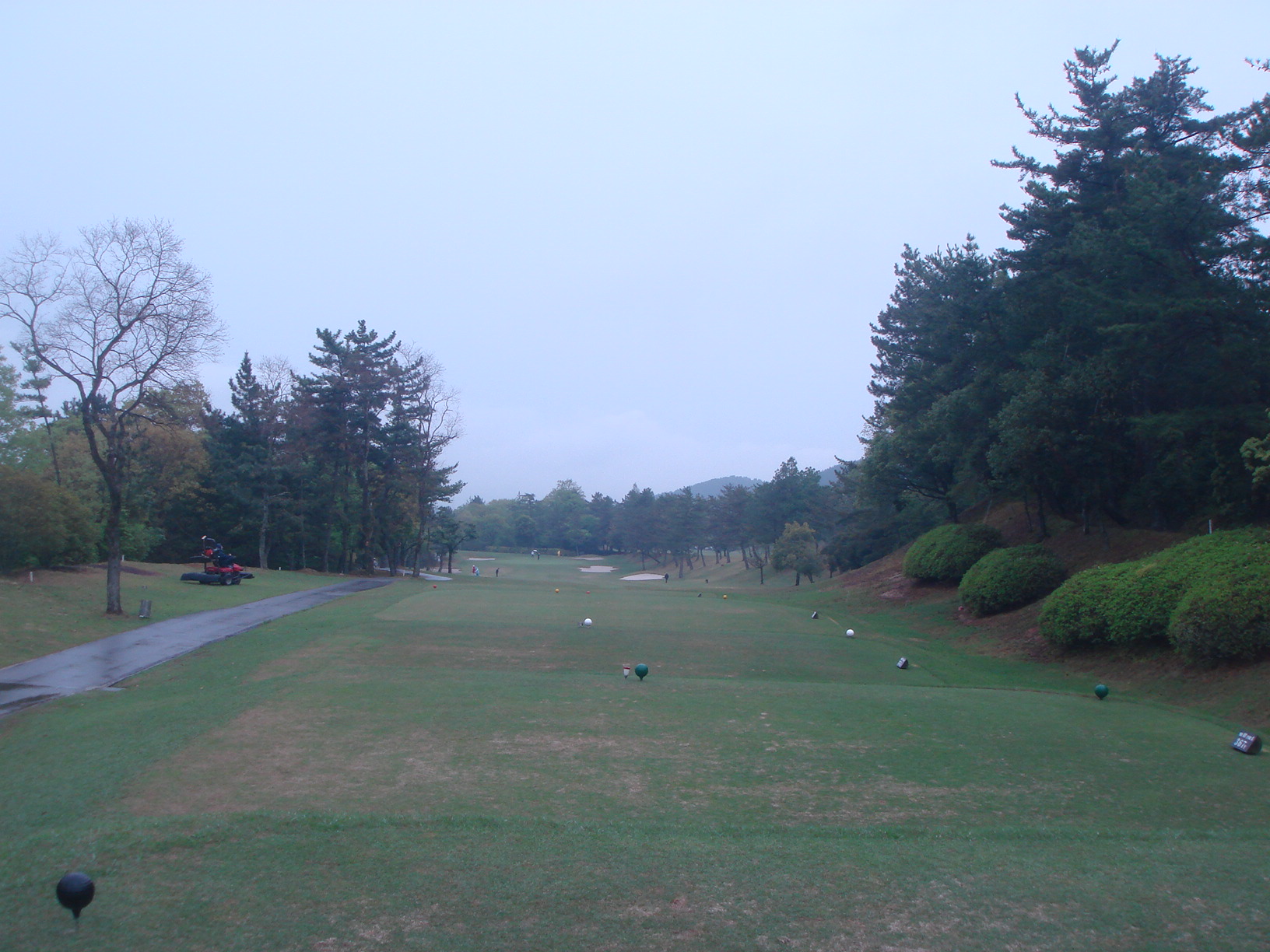 DSC00543.jpg