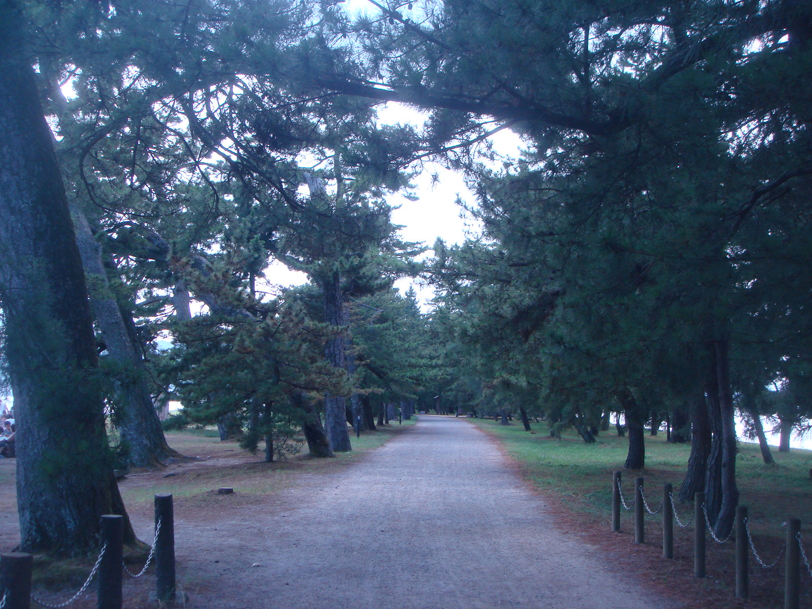 DSC04101.jpg