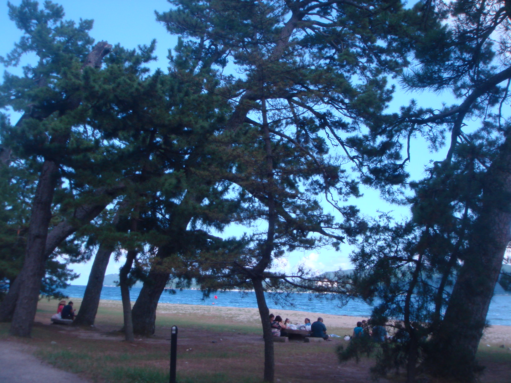 DSC04104.jpg
