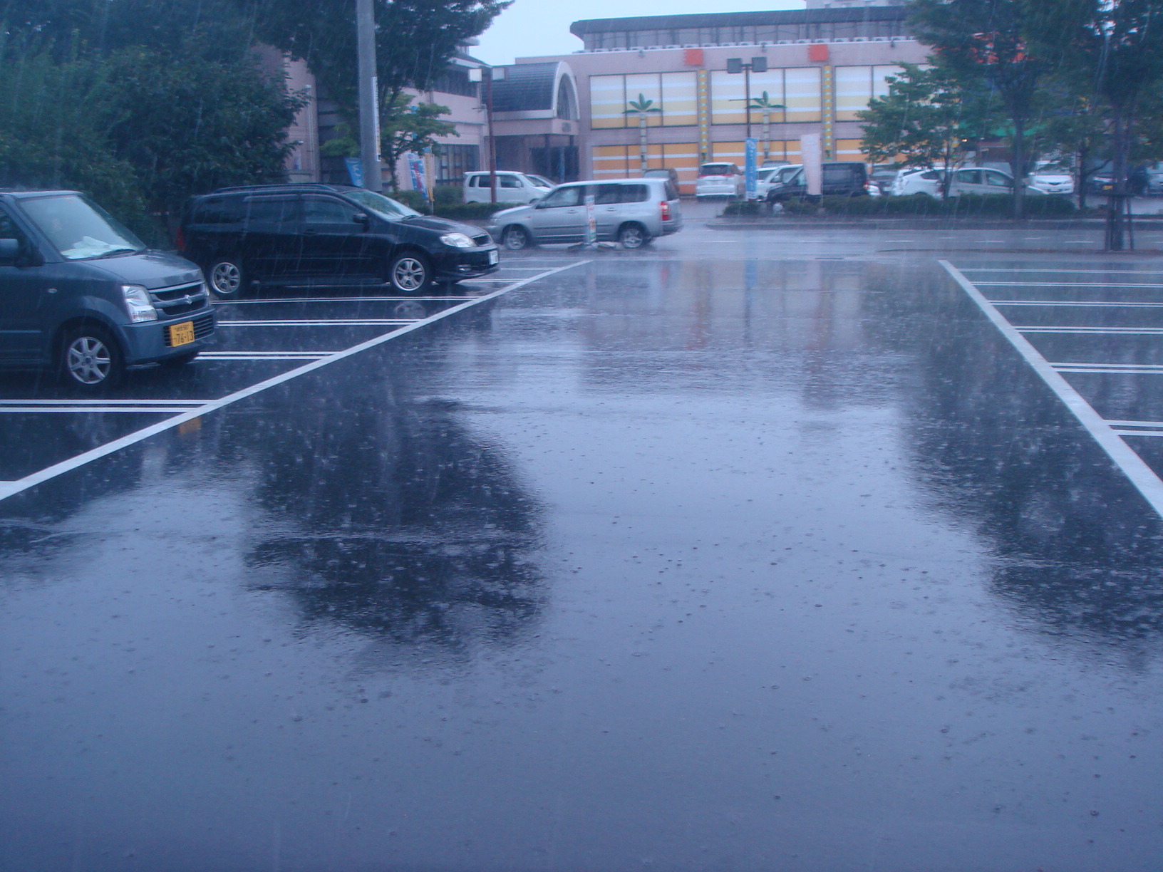 DSC04316.jpg