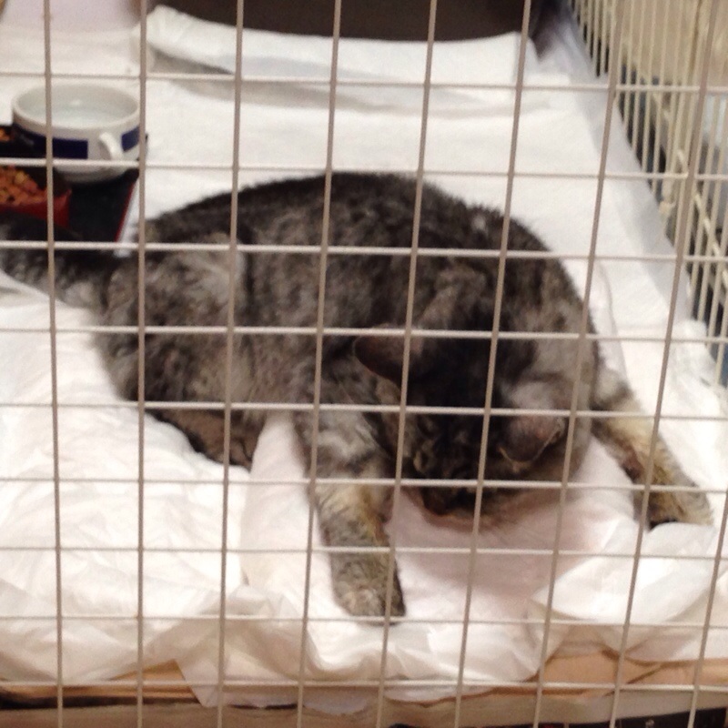 201402111610290bb.jpg
