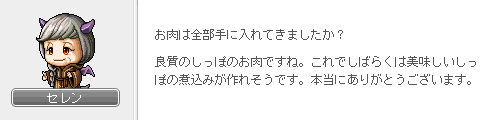 セレンの頼み事3