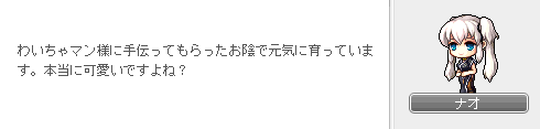 羊と鶏のお世話6