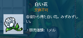 白い花