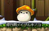 修行用メイプルキノコ