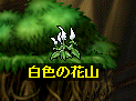 白色の花山