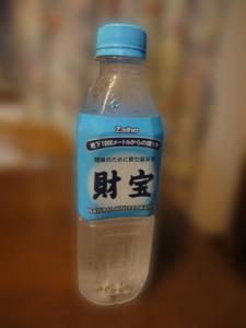 DSC03784.jpg