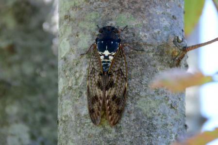 D2C_2728.jpg