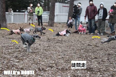 12042123.jpg