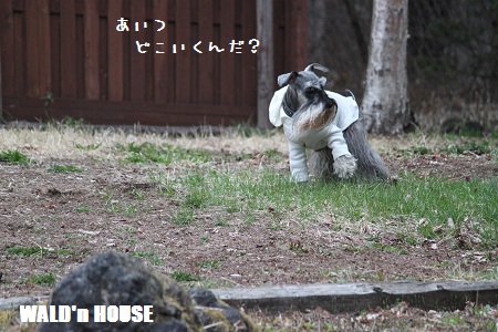 1204220あっしゅ