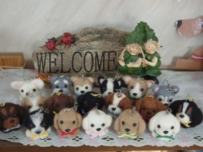 IMGP0638.jpg