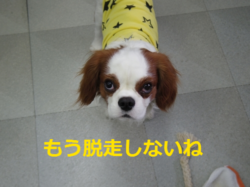 IMGP0646.png