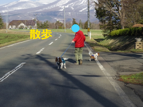 IMGP0679.png
