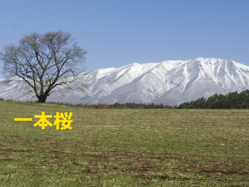IMGP0689.png