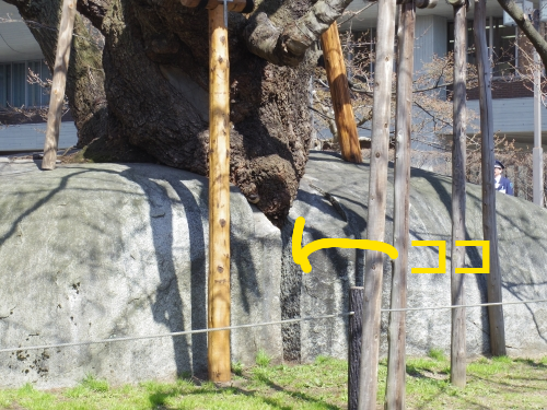 IMGP0693.png