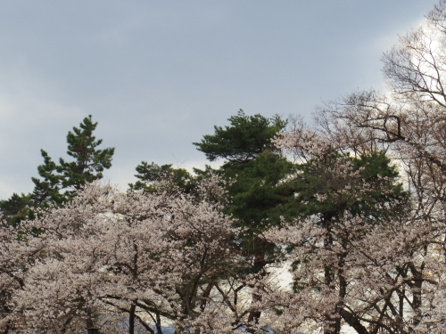 IMGP0724.jpg