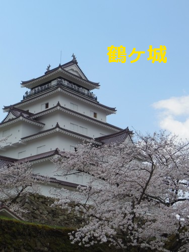 IMGP0728.png