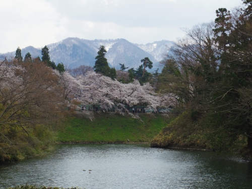 IMGP0751.jpg
