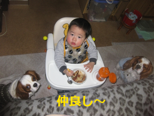 IMG_4108.png